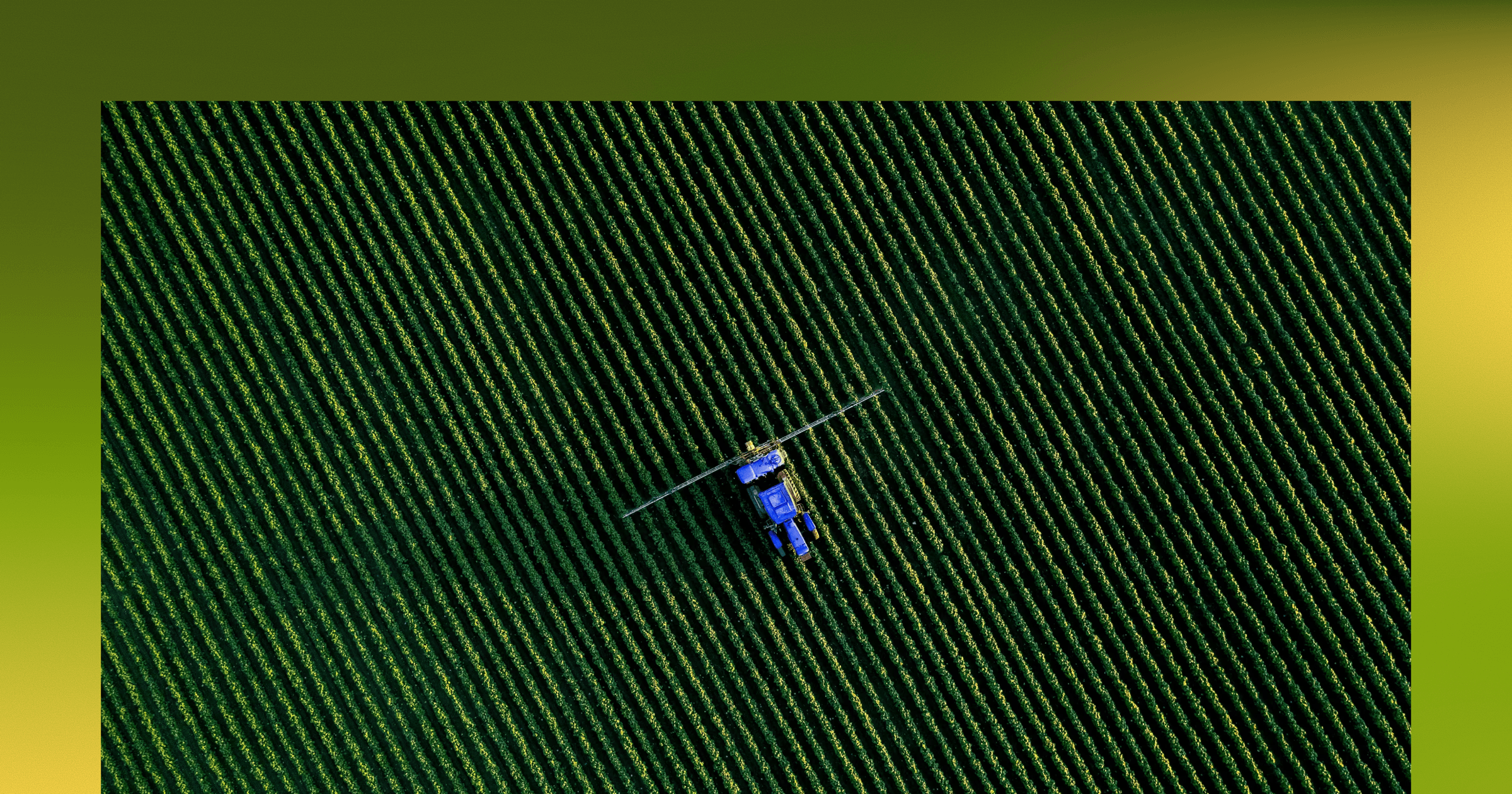 Aerial view of a tractor crossing rows of crops in a field