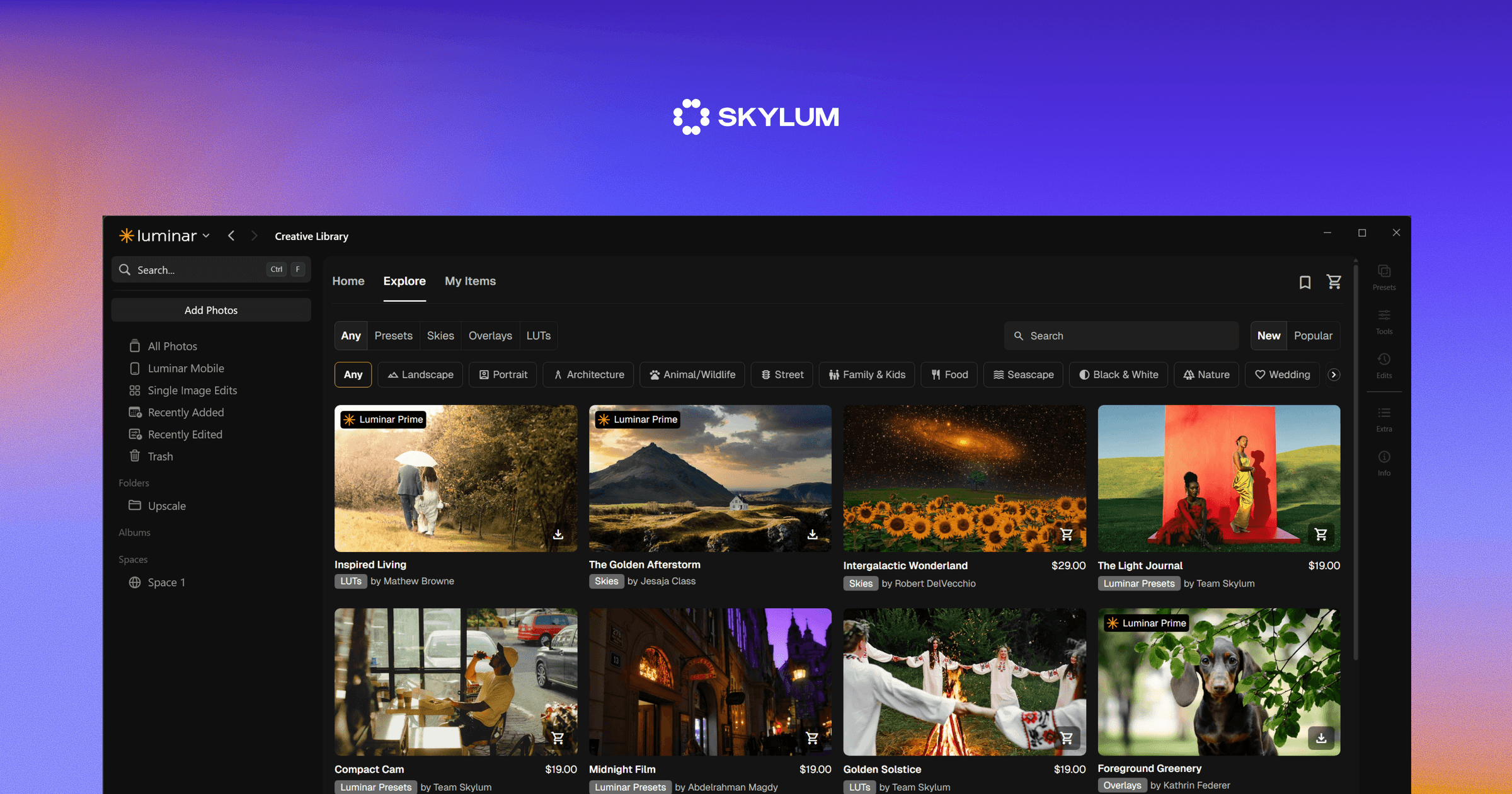 SKYLUM logo above the Luminar Creative Library window, showing a grid of photo editing presets, skies and overlays for sale.